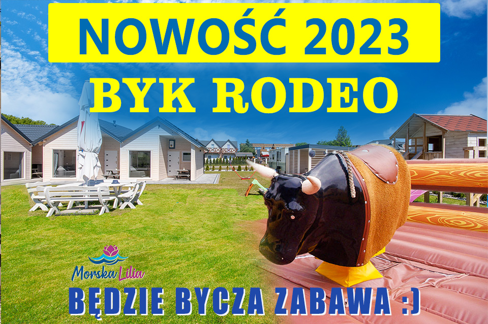 rodeo23 bycze rodeo